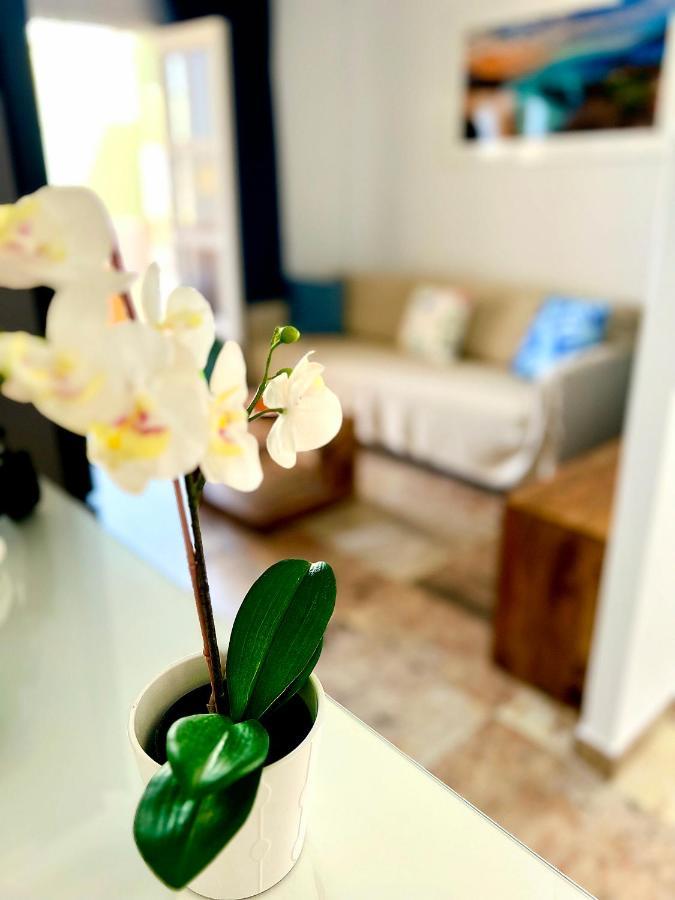 Cosy, New Studio In Costa Adeje 外观 照片